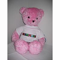 Pink Autograph Bear - Champions