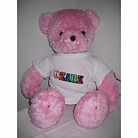 Pink Autograph Bear - Ozark