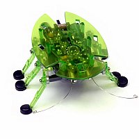 Hexbug - Original