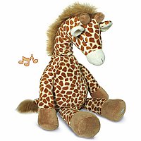 Gentle Giraffe