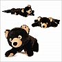 Bubba the Black Bear