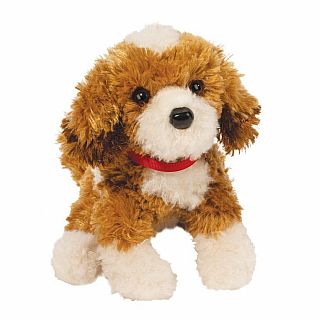 Buttercup Doodle Mix Pup, Small
